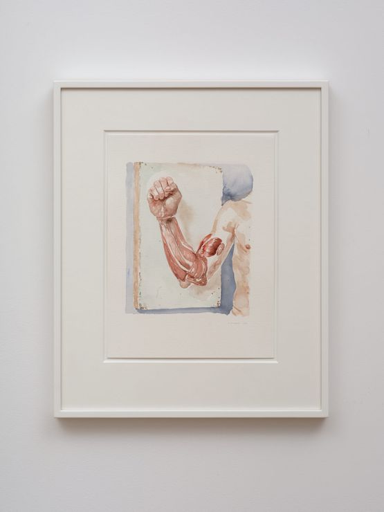 Untitled by Peter Stichbury contemporary artwork Works on Paper