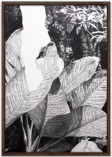 Toda escritura comienza en una selva VI  All Writing Begins in a Jungle VI by Jorge Mendez Blake contemporary artwork drawing works on paper