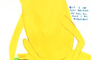 David Shrigley