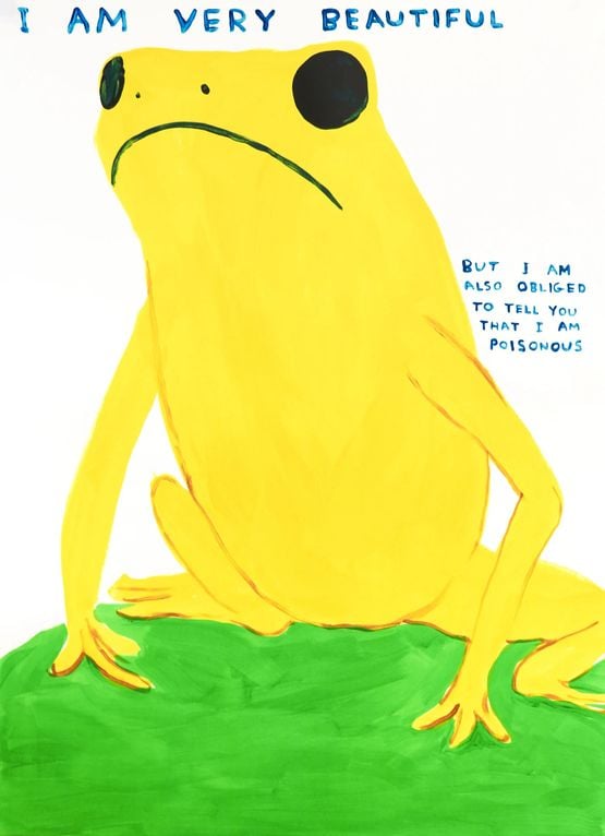 I Am Very Beautiful by David Shrigley contemporary artwork Print