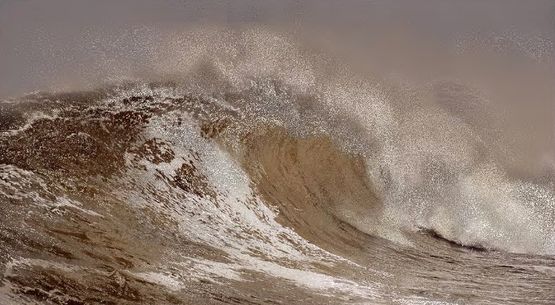 Scenapse Wave Copper by Aziz  Cucher contemporary artwork Painting