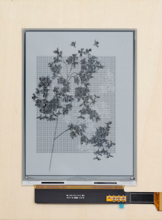 L-systems flowers 5 by Robbie Barrat contemporary artwork Sculpture