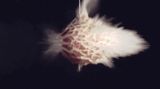 Dead Time by Steve Carr contemporary artwork moving image