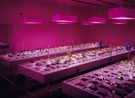 Nursery by Thomas Demand contemporary artwork Print