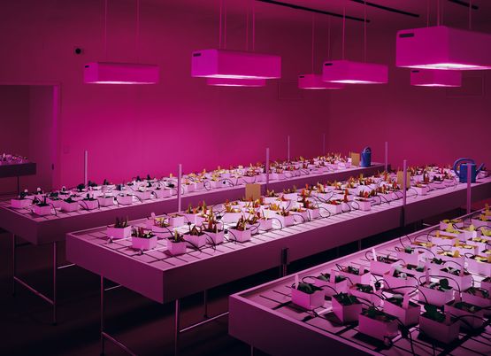 Nursery by Thomas Demand contemporary artwork Print