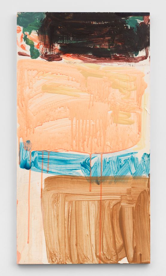 A Level Plain by Hayley Tompkins contemporary artwork Painting