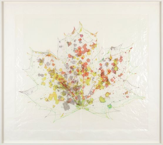 Mehltau_Ahorn_03 by Martin Walde contemporary artwork Works on Paper