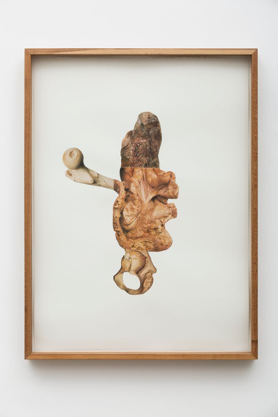 Untitled from the series Atlas by Rodolpho Parigi contemporary artwork Works on Paper