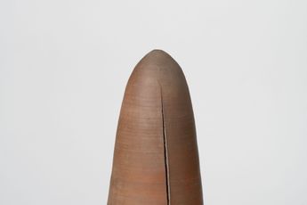 Shoko Suzuki contemporary artist