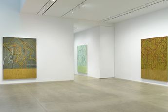 Contemporary art exhibition Brice Marden These paintings are of themselves at Gagosian 541 West 24th Street New York United States
