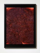 Pigment print on Canson Baryta paper. Bundanon Australia 2018. Exposure Time 330 hours by Anne Noble contemporary artwork print