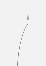 Plantago media Spitzwegerich by Peter Mathis contemporary artwork photography print