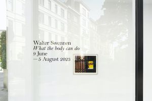 Walter Swennen
