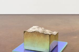 Michael Joo