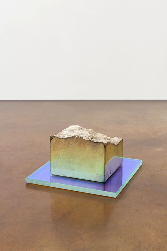 Cosms Catalunya 1 by Michael Joo contemporary artwork Sculpture