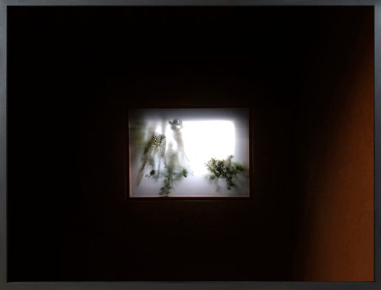 Beijing LiuGan by Giovanni Ozzola contemporary artwork Photography