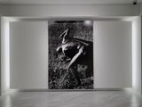 Rome-18 by Keiichi Tahara   contemporary artwork painting sculpture