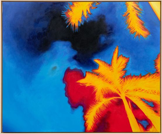 DRONE CODES by Harmony Korine contemporary artwork Painting