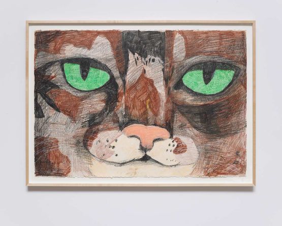 Sheila by Matthew Chambers contemporary artwork Works on Paper