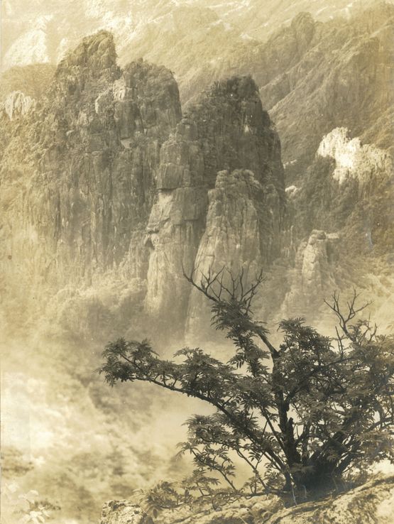 Majestic Solitude by Lang Jingshan contemporary artwork Photography