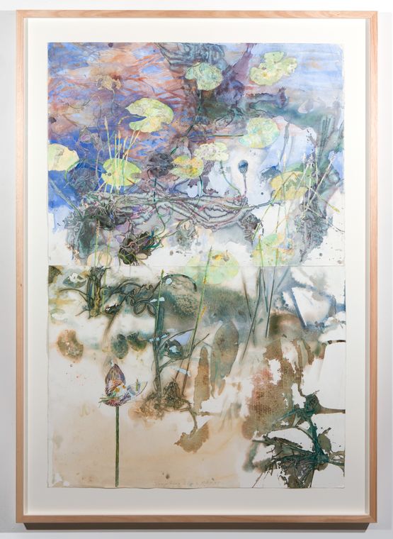 Nymphaea Lilies and Rakay by John Wolseley contemporary artwork Painting