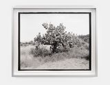 M7  Roll 41  Exp 07 by Gerard Byrne contemporary artwork photography