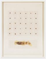 Seed Calendar Baja Pod by Michelle Stuart contemporary artwork painting
