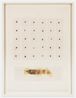 Seed Calendar Baja Pod by Michelle Stuart contemporary artwork Painting