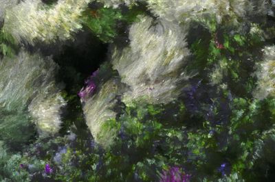 Digital Artist Quayola Reprises Monet at Frieze London