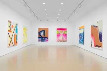 Contemporary art exhibition Monique Van Genderen Monique Van Genderen at Miles McEnery Gallery 520 West 21st Street New York United States