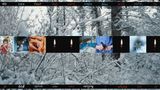 For The Photos I Didnt Take For The Stories I Didnt Read by Liu Shiyuan contemporary artwork moving image