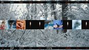For The Photos I Didnt Take For The Stories I Didnt Read by Liu Shiyuan contemporary artwork Moving Image