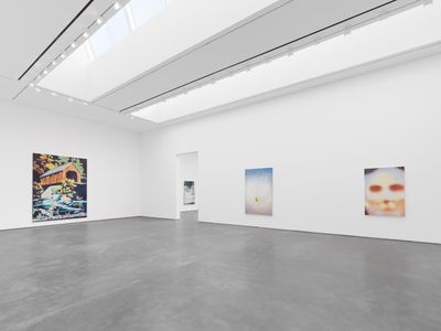 Luc Tuymans Wants It Darker at David Zwirner New York