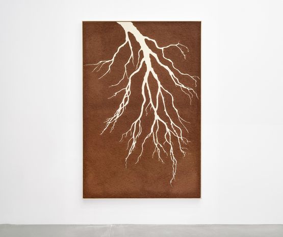 Walking with the Roots roots paintings by Claudia Comte contemporary artwork Painting