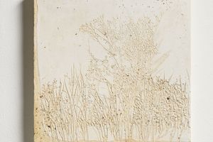 Chiu Chen-Hung