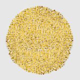 Moeda  Coin by Rodrigo Matheus contemporary artwork sculpture