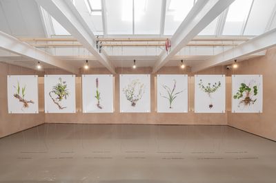 Rapid Response Exhibition Spotlights Displacement and Ecocide in War-Torn Lebanon