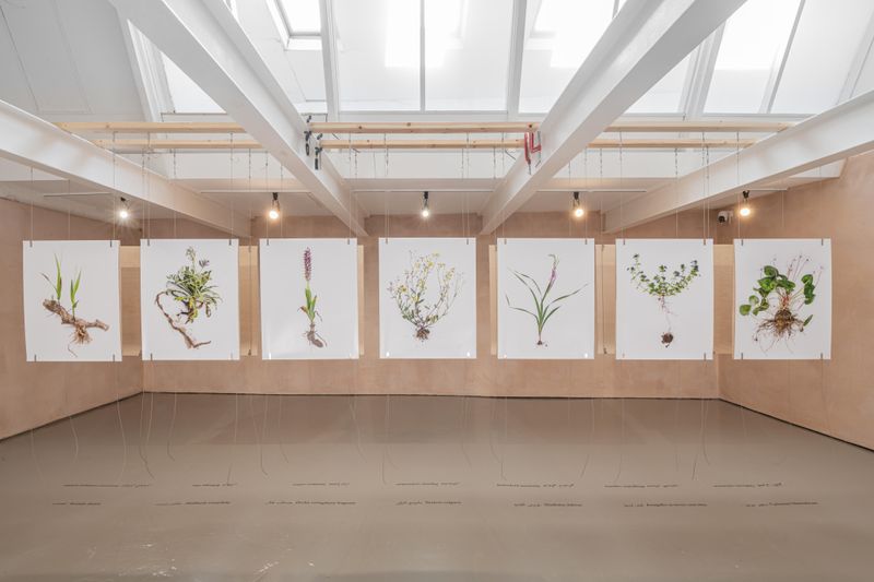 Rapid Response Exhibition Spotlights Displacement and Ecocide in War-Torn Lebanon