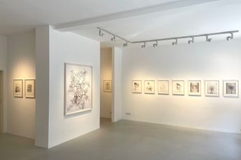 Contemporary art exhibition Walter Schels Blumen at GaleriePeterSillem Frankfurt Germany