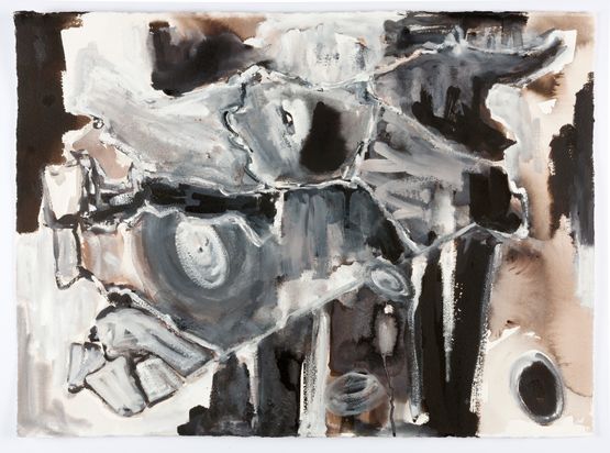 Cage Syria map variations by Fiona Hall contemporary artwork Works on Paper