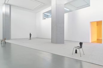 Contemporary art exhibition He Xiangyu HARD PALATE at White Space Caochangdi China
