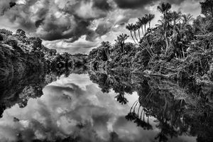 Sebastiao Salgado