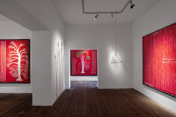 Contemporary art exhibition Frank Young Kulata Wanampi Tjukurpa - Spear Watersnake Story at Cassandra Bird Sydney Australia