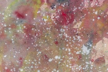 Lucy Dodd contemporary artist