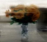 Rosen by Gerhard Richter contemporary artwork print works on paper