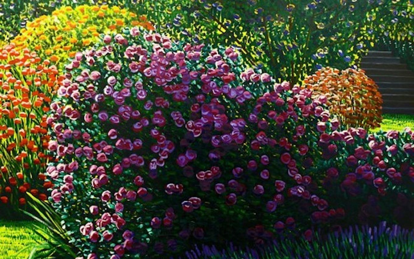 Karl Maughan