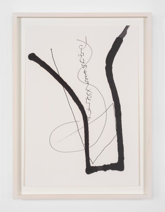 ParticleWord Theory by Jimmie Durham contemporary artwork Drawing