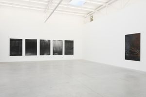 Dirk Braeckman