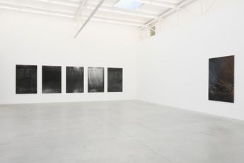Contemporary art exhibition Dirk Braeckman Dear Deer  at Zeno X Gallery Antwerp Belgium