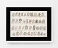 Anonymous Roman Portraits by Huang Hai-Hsin contemporary artwork Works on Paper